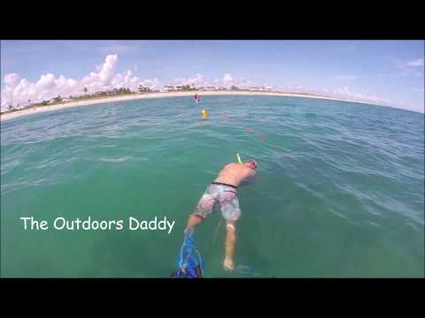 Freediving | Spearfishing | Indian River Lagoon | A day in the Life of a Floridian