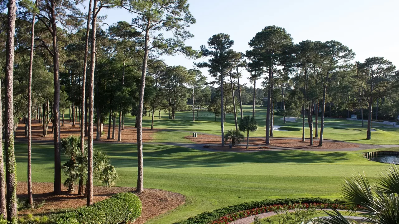 golf course g2d33c33a3 1920 jpg webp