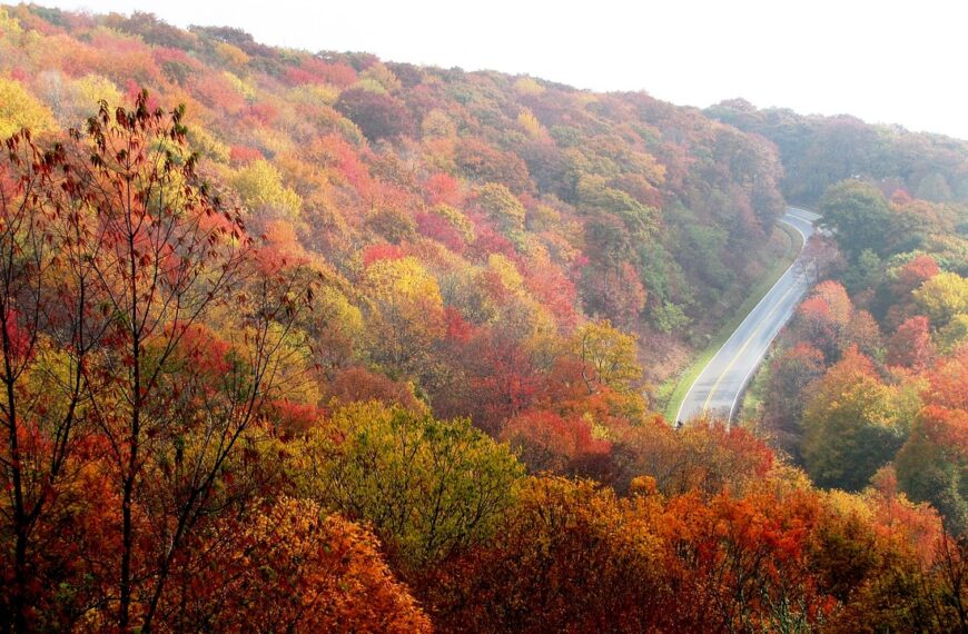 The ULTIMATE Guide to the Nantahala National Forest, NC
