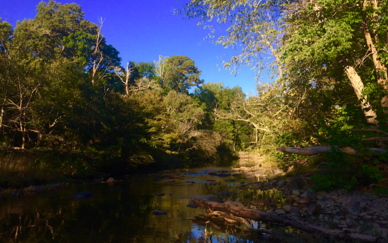 Bigfoot allgame, CC BY-SA 4.0 https://creativecommons.org/licenses/by-sa/4.0, via Wikimedia Commons