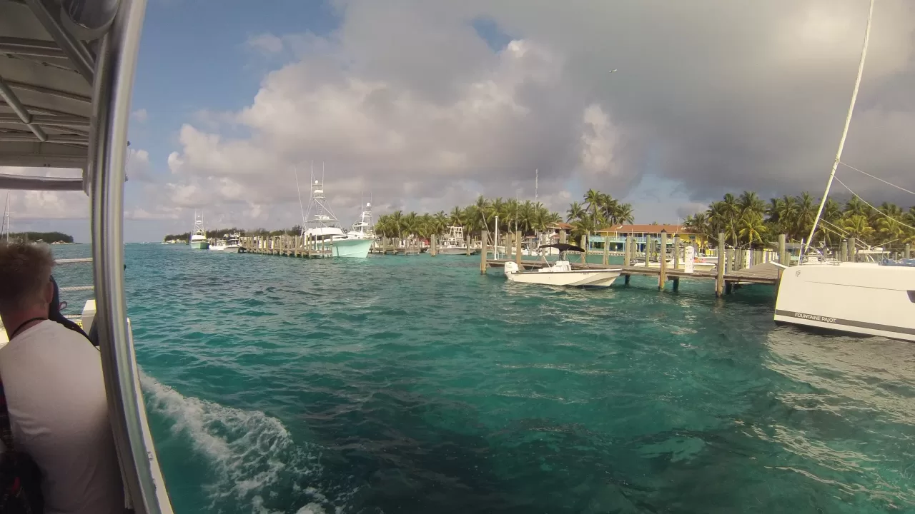 Diving Sapona