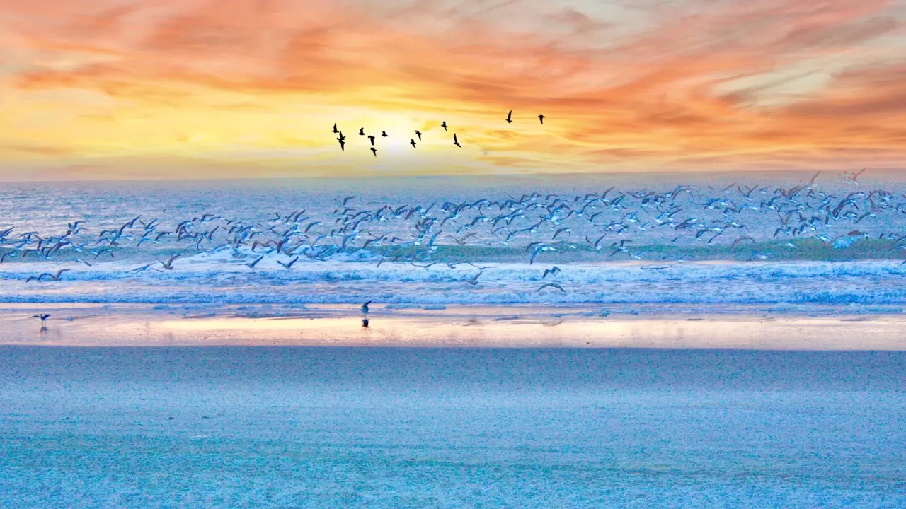 myrtle beach 3386548 1920 jpg