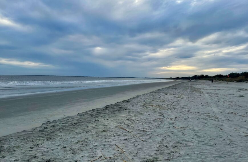 A Local’s Guide to 9 TOP Beaches Near Charleston, SC