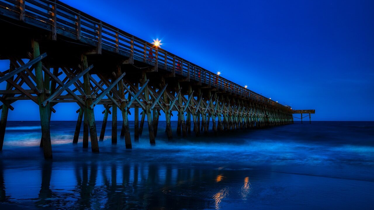 myrtle beach, south carolina, america-4015466.jpg