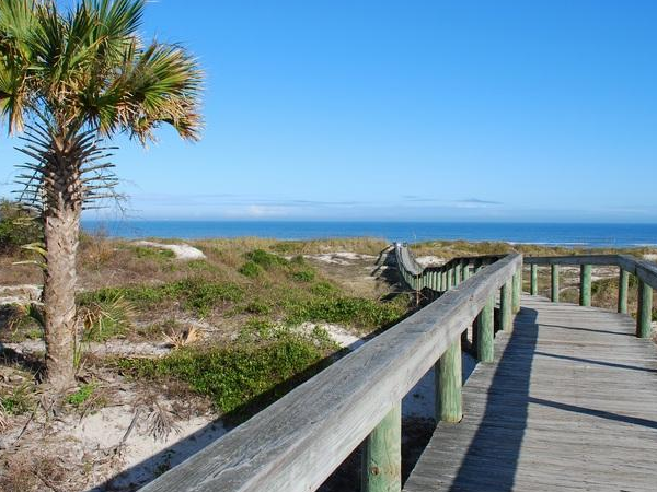 6 Great Dog-Friendly Beaches in Jacksonville, Florida