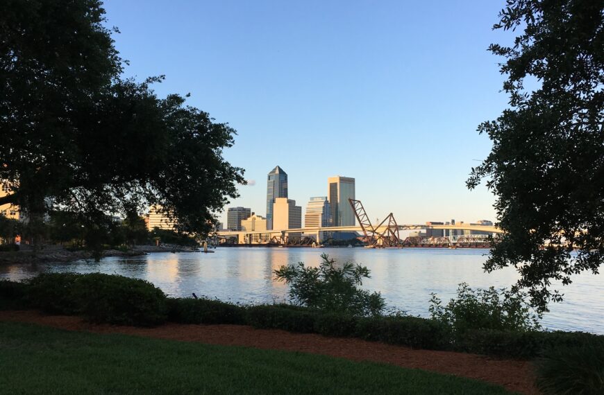 City skyline at dusk viewed from a park