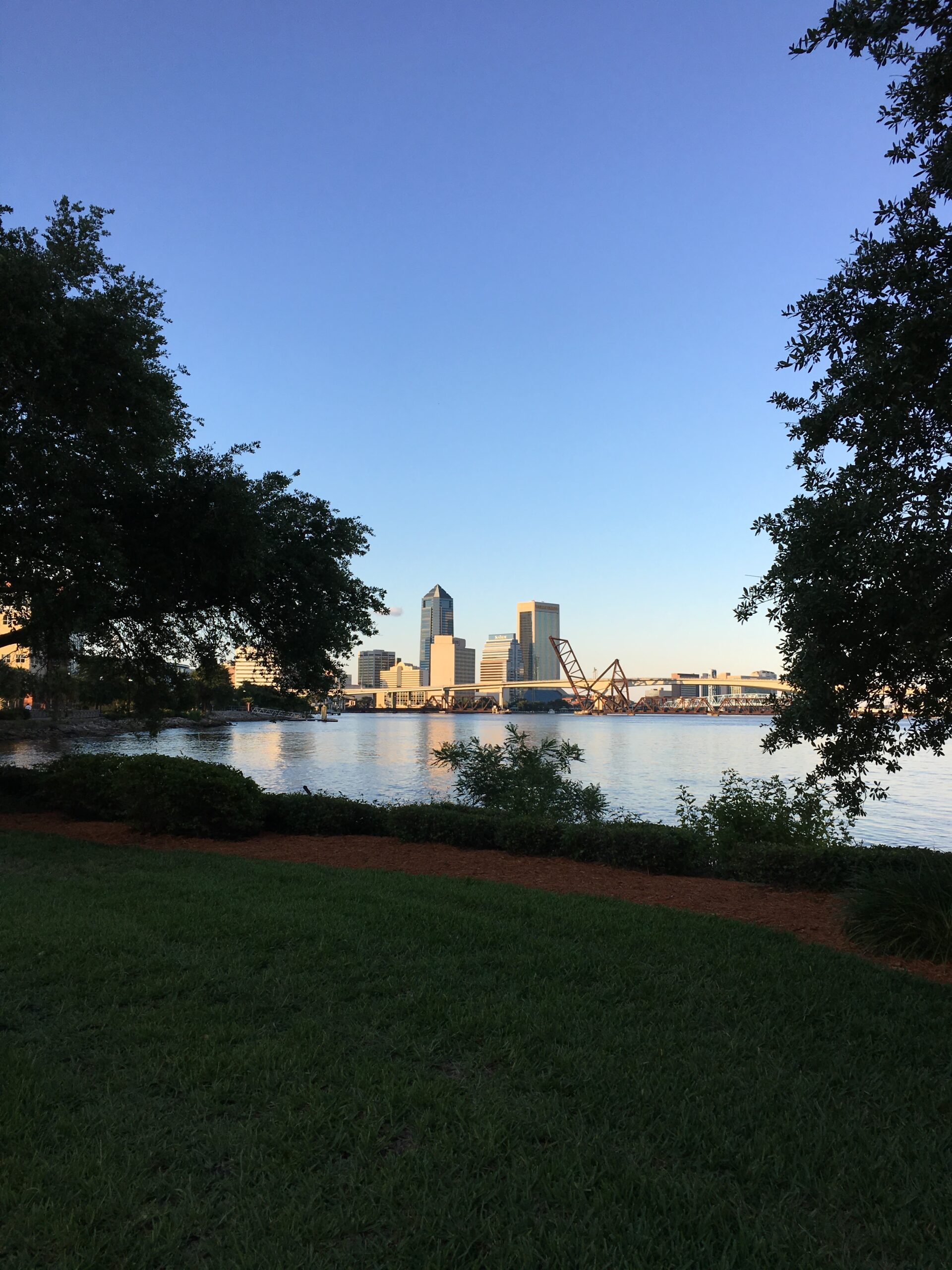 City skyline at dusk viewed from a park