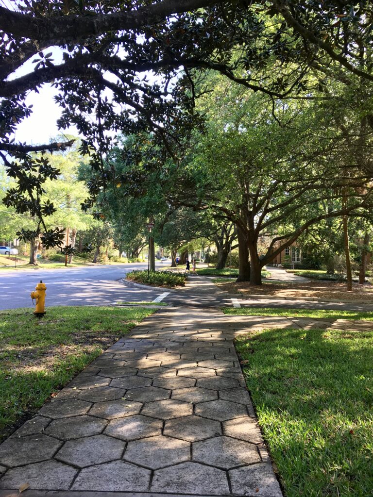 Avondale, Jacksonville Florida