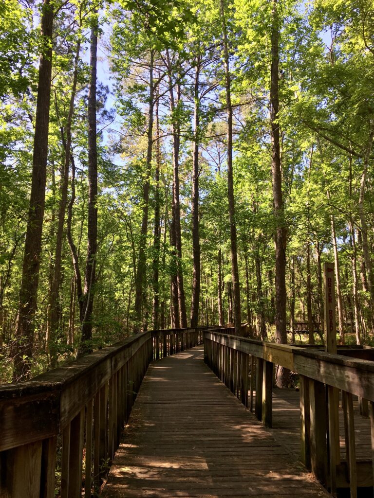 Tillie Fowler Regional Park