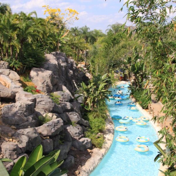Orlando’s Best Water Parks, According to An Orlando Theme Park Enthusiast